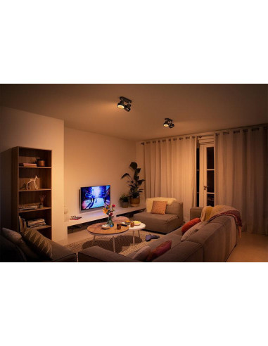 Spot LED Dublu Philips Bukko, 24V, 2x4.3W, 800 lm, intensitate