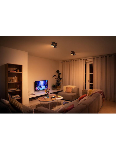 Spot LED Dublu Philips Bukko, 24V, 2x4.3W, 800 lm, intensitate