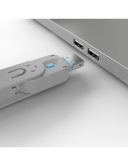 Lindy LY-40622, USB Type A Port Blocker Key,,LY-40622