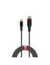 Cablu Lindy LY-31287, Type C to Lightning reinforced