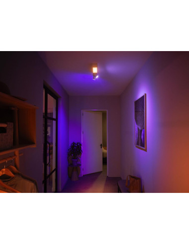 Plafoniera LED RGB Philips Hue Centris, Bluetooth, cu 2xGU10