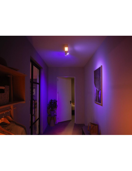 Plafoniera LED RGB Philips Hue Centris, Bluetooth, cu 2xGU10