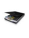 SCANNER PERFECTION V19 B11B231401 EPSON