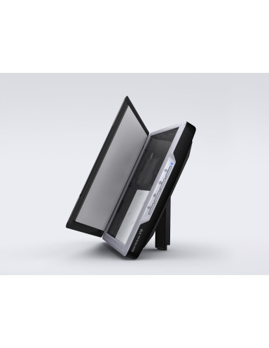 SCANNER PERFECTION V19 B11B231401 EPSON