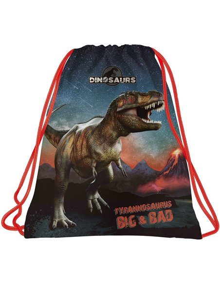 Set scoala Dinozaur 17 - Ghiozdan scoala, Penar echipat cu 1 fermoar si Sac incaltaminte