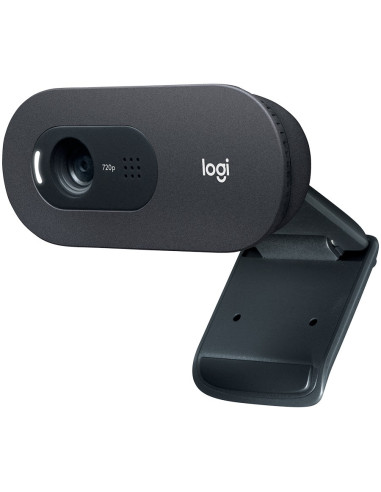 CAMERA web LOGITECH C505 HD, HD 720 rez 1280 x 720, USB 2.0