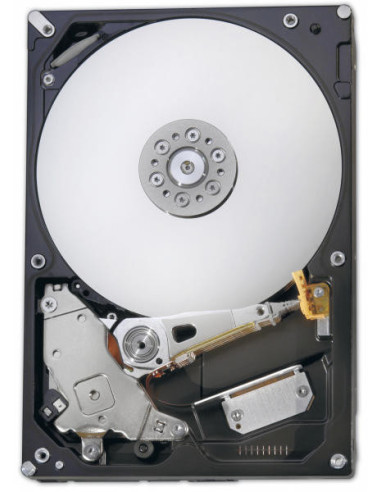 HDD FUJITSU - server 1 TB, 7.200 rpm, S-ATA 3, pt. server