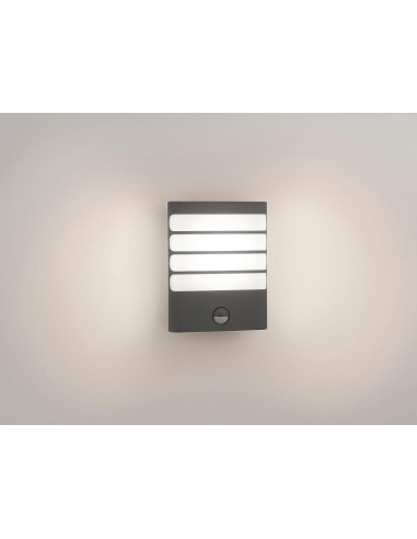 RACCOON WALL LANTERN ANTHRACITE 1X3W SEL "000008718291479482"