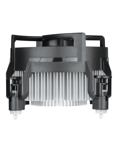 COOLER ARCTIC Alpine 17 CO,"ACALP00041A",ACALP00041A