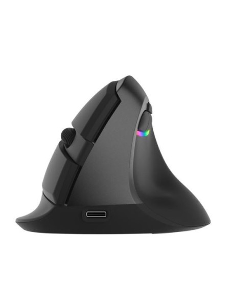 Mouse wireless si bluetooth Delux M618 mini negru,M618MINI-BK