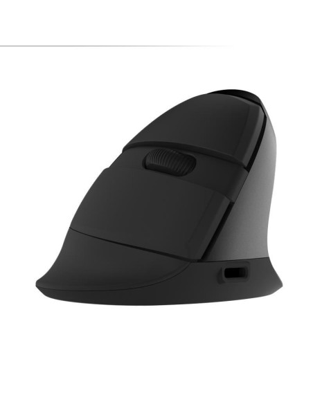 Mouse wireless si bluetooth Delux M618 mini negru,M618MINI-BK