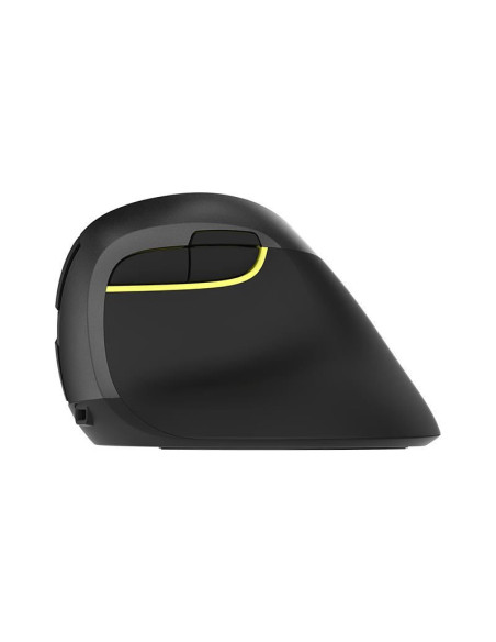 Mouse wireless si bluetooth Delux M618 mini negru,M618MINI-BK