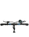 Trotineta electrica Skateflash Avantsee negra,SKAVANTSEESCOOTER