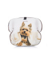 Inaltator auto Chipolino Monty 22-36 kg puppy,SDKMO0224PU