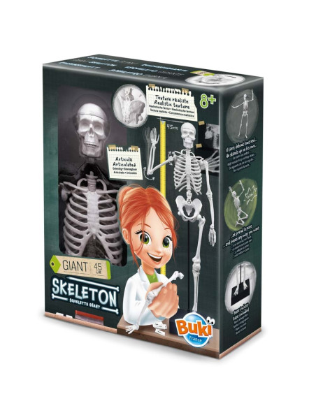 Schelet Gigant 45 cm,BK2180