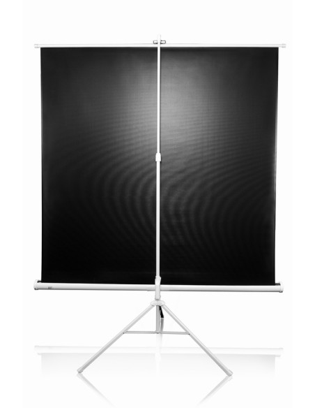 Ecran proiectie cu trepied, 240 x 180 cm, profesional