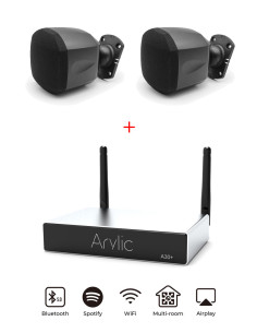 Sistem de sonorizare stereo multiroom cu amplificator Arylic