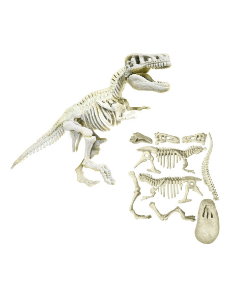 Descopera Dinozaurul T-rex,1026-50741