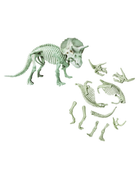 Descopera Dinozaurul Triceratops,1026-50740