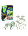 Descopera Dinozaurul Triceratops,1026-50740