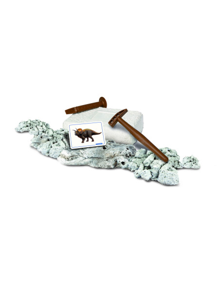 Descopera Dinozaurul Triceratops,1026-50740