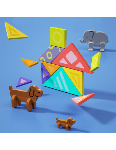 Joc Educational Tangram Magnetic,HolaE7982