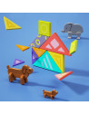 Joc Educational Tangram Magnetic,HolaE7982