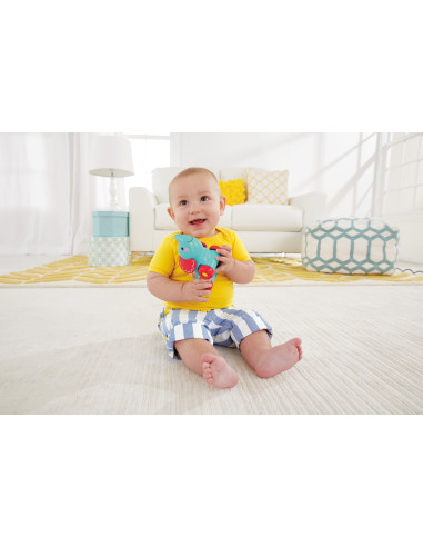 Fisher Price Jucarie Apasa Si Mergi Elefant,MTBGX29_CMV98