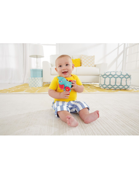Fisher Price Jucarie Apasa Si Mergi Elefant,MTBGX29_CMV98
