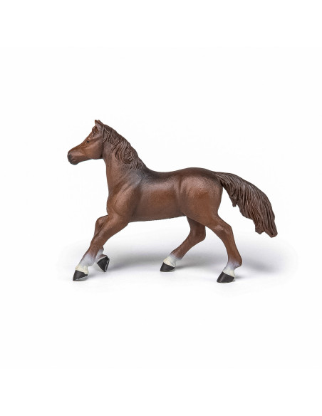 Papo Figurina Iapa Anglo-araba,Papo51075