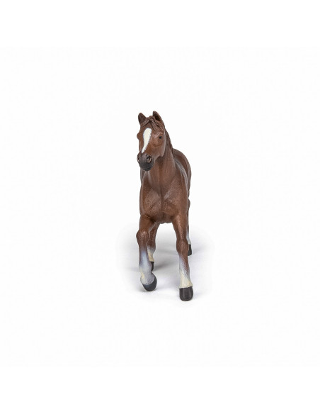 Papo Figurina Iapa Anglo-araba,Papo51075