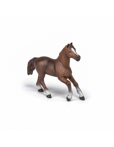Papo Figurina Iapa Anglo-araba,Papo51075
