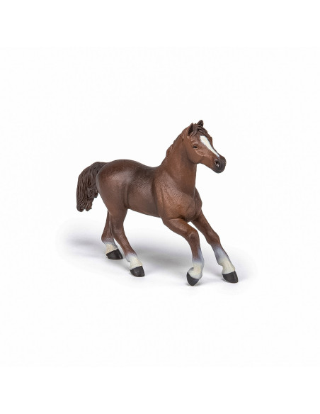 Papo Figurina Iapa Anglo-araba,Papo51075