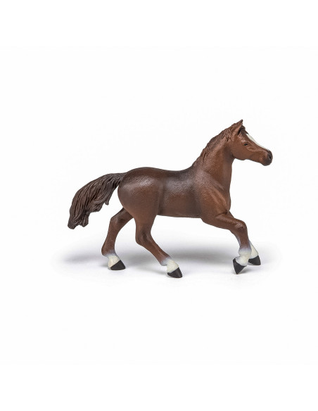 Papo Figurina Iapa Anglo-araba,Papo51075