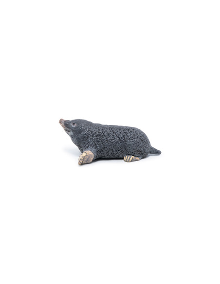 Papo Figurina Cartita,Papo50265