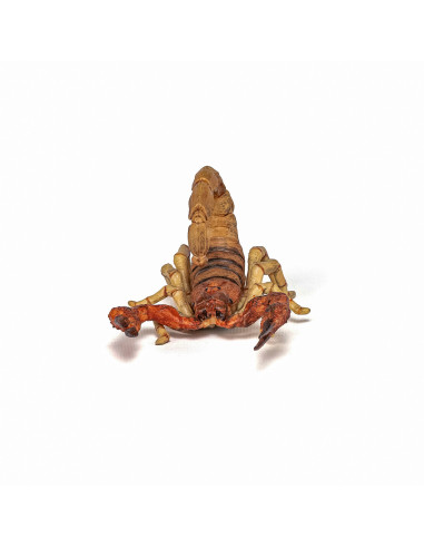 Papo Figurina Scorpion,Papo50209