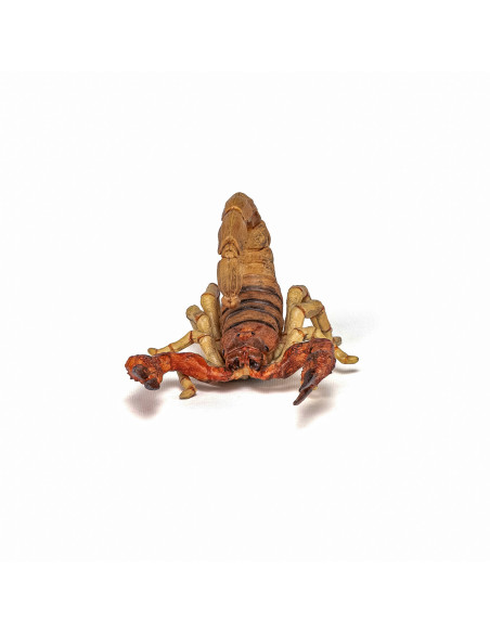 Papo Figurina Scorpion,Papo50209