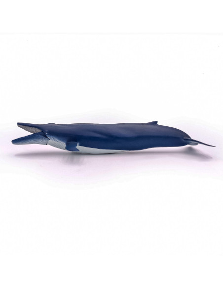 Papo Figurina Balena Albastra,Papo56037