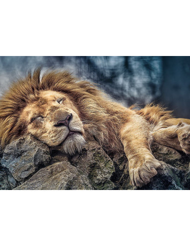 Puzzle Trefl 1000 Leu Dormind,10447