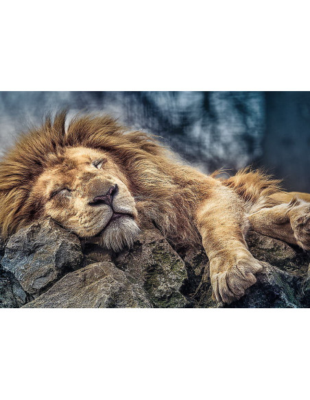 Puzzle Trefl 1000 Leu Dormind,10447