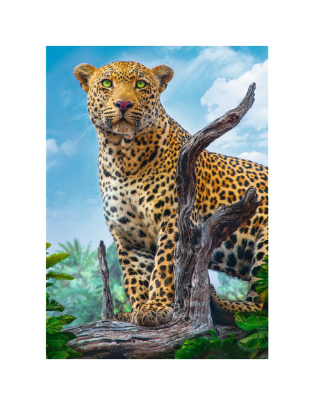 Puzzle Trefl 500 Leopard In Savana,37332