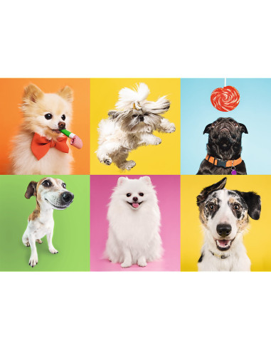Puzzle Trefl 500 Catelusi,37378