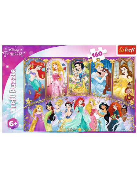 Puzzle 160 Portretele Printeselor,15407