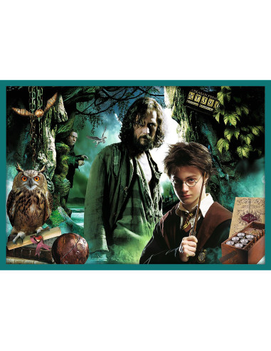 Puzzle Trefl 10in1 Harry Potter In Lumea Lui Harry Potter,90392