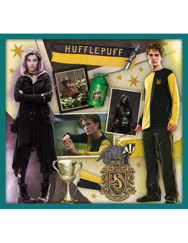 Puzzle Trefl 10in1 Harry Potter In Lumea Lui Harry Potter,90392