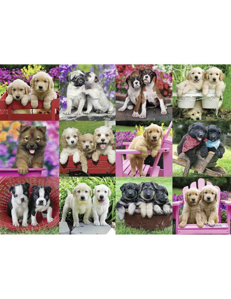 Puzzle Catelusi, 500 Piese,RVSPA14659