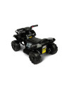 ATV electric Toyz MNI RAPTOR 6V Negru,TOYZ-7040