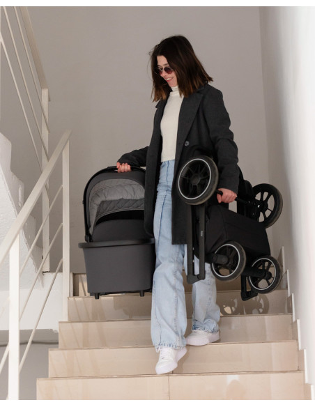 Carucior troller reversibil (max. 22 Kg) Carrello ALFA 2023 2