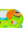 Jucarie educationala Toyz ZOO MUSIC TABLE 3 in 1,TOYZ-9001