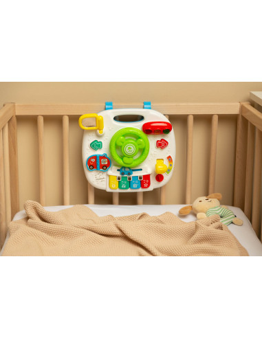 Jucarie educationala Toyz LITTLE DRIVER'S TABLE 3 in 1,TOYZ-9005